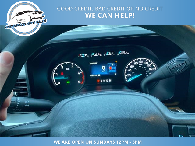 2024 Ford F-250 XLT (Stk: 24-d05406) in Greenwood - Image 12 of 16