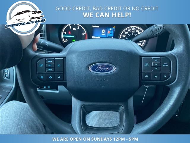 2024 Ford F-250 XLT (Stk: 24-d05406) in Greenwood - Image 13 of 16