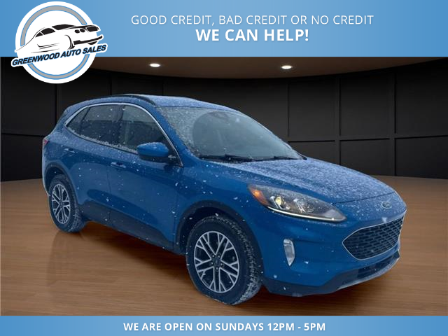 2020 Ford Escape SEL (Stk: 20-C33689) in Greenwood - Image 4 of 18