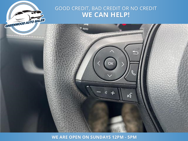 2025 Toyota RAV4 LE (Stk: 25-511591) in Greenwood - Image 12 of 17