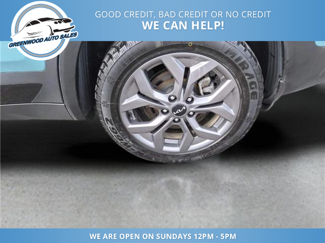 2024 Kia Seltos EX Premium (Stk: 24-634009) in Greenwood - Image 9 of 18