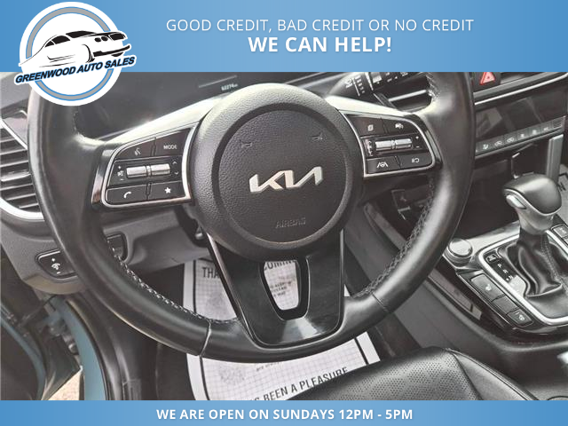 2024 Kia Seltos EX Premium (Stk: 24-634009) in Greenwood - Image 15 of 18