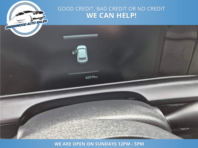 2024 Kia Seltos EX Premium (Stk: 24-634009) in Greenwood - Image 16 of 18