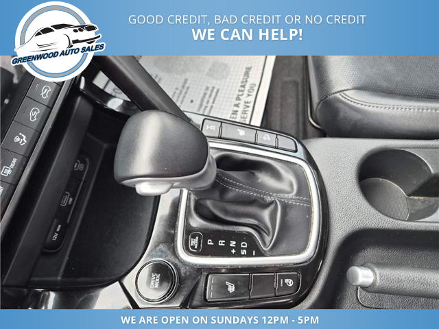 2024 Kia Seltos EX Premium (Stk: 24-634009) in Greenwood - Image 17 of 18