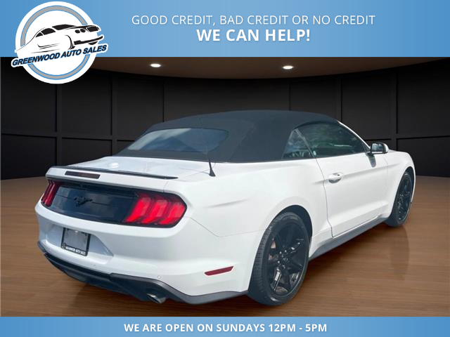 2020 Ford Mustang EcoBoost (Stk: 20-157219) in Greenwood - Image 5 of 22