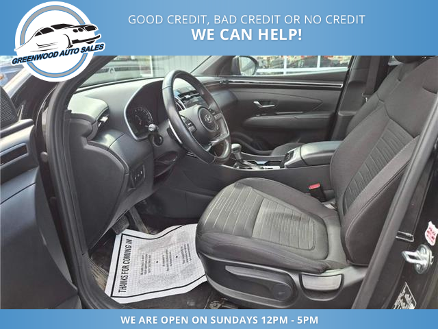 2024 Hyundai Santa Cruz Preferred (Stk: 24-106614) in Greenwood - Image 11 of 17