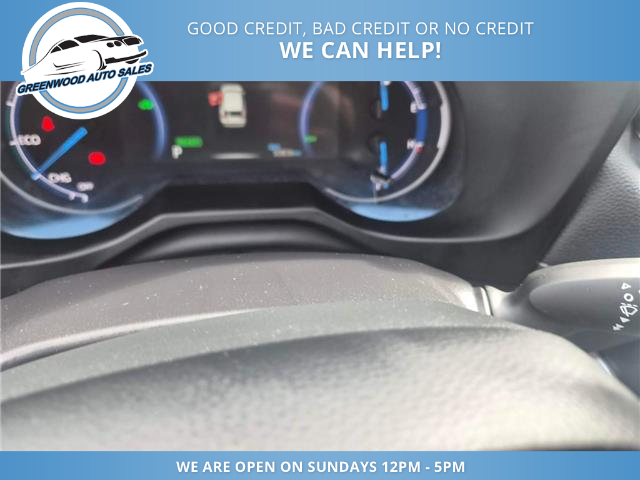 2025 Toyota RAV4 Hybrid LE (Stk: 25-265838) in Greenwood - Image 15 of 16