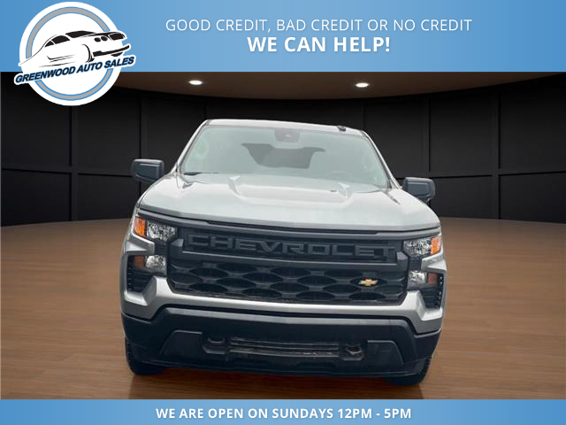 2024 Chevrolet Silverado 1500 Work Truck (Stk: 24-155161) in Greenwood - Image 3 of 20