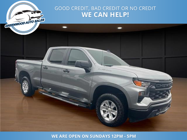 2024 Chevrolet Silverado 1500 Work Truck (Stk: 24-155161) in Greenwood - Image 4 of 20