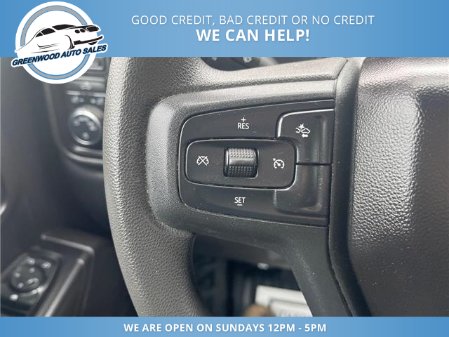 2024 Chevrolet Silverado 1500 Work Truck (Stk: 24-155161) in Greenwood - Image 15 of 20