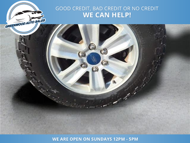 2019 Ford F-150 XLT (Stk: 19-e25263) in Greenwood - Image 8 of 16