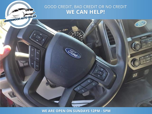 2019 Ford F-150 XLT (Stk: 19-c36275) in Greenwood - Image 13 of 17