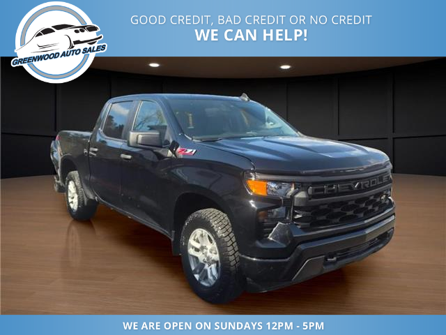 2024 Chevrolet Silverado 1500 Work Truck (Stk: 24-116350) in Greenwood - Image 3 of 16