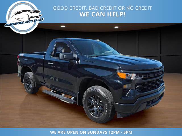 2024 Chevrolet Silverado 1500 Work Truck (Stk: 24-263899) in Greenwood - Image 3 of 17