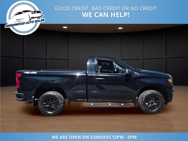 2024 Chevrolet Silverado 1500 Work Truck (Stk: 24-263899) in Greenwood - Image 4 of 17