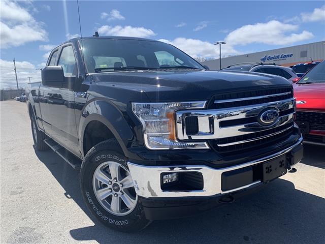 2020 Ford F-150 XLT for sale in Midland - Bourgeois Ford