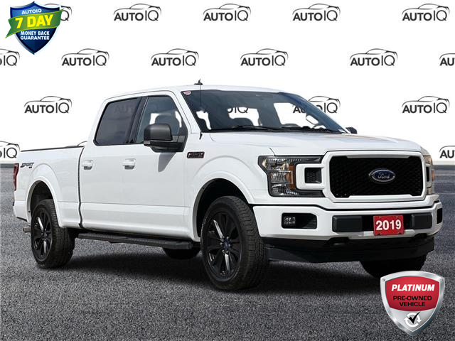 2019 Ford F-150 XLT (Stk: AIQ165060) in Kitchener - Image 1 of 20