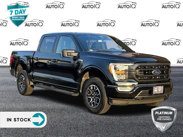 2022 Ford F-150 XLT (Stk: LP1904) in Waterloo - Image 1 of 21