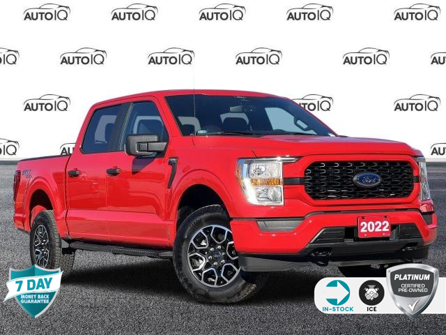 2022 Ford F-150 XL (Stk: 23F5680A) in Kitchener - Image 1 of 18