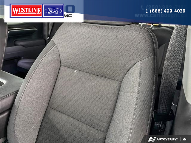 2025 Chevrolet Silverado 1500 LT (Stk: 9979) in Williams Lake - Image 18 of 24
