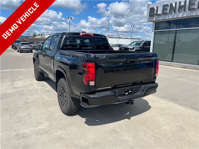 2026 Chevrolet Colorado WT (Stk: T020) in Blenheim - Image 3 of 31