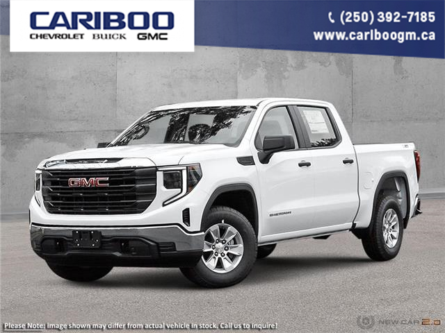 2023 GMC Sierra 1500 Pro (Stk: CGTXCW) in Williams Lake - Image 1 of 23