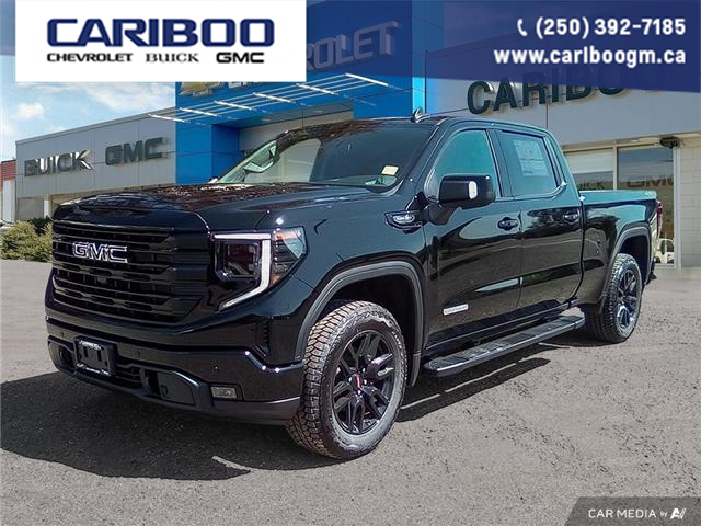 2025 GMC Sierra 1500 Elevation (Stk: 25T102) in Williams Lake - Image 1 of 33