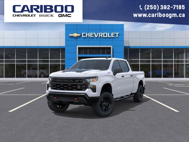 2025 Chevrolet Silverado 1500 Custom Trail Boss (Stk: 7OD50374761) in Williams Lake - Image 1 of 6