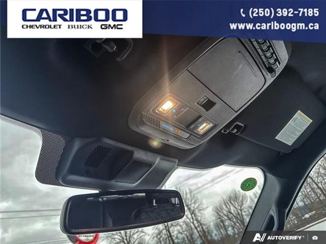 2023 Ford F-150 Tremor (Stk: 3035A) in Quesnel - Image 17 of 21