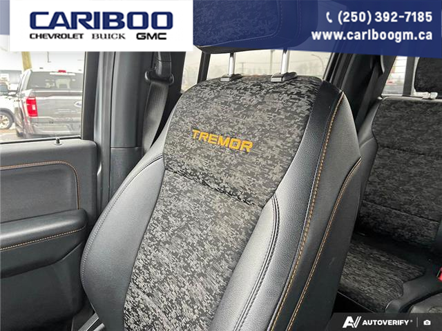 2022 Ford F-150 Tremor (Stk: 26T019A) in Quesnel - Image 20 of 25