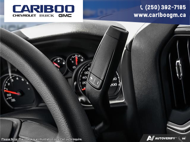 2026 GMC Sierra 1500 Pro (Stk: 26T111) in Williams Lake - Image 17 of 23