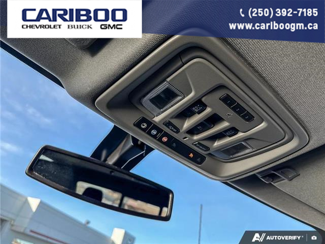 2023 Chevrolet Silverado 3500HD LTZ (Stk: PO2358) in Dawson Creek - Image 20 of 24