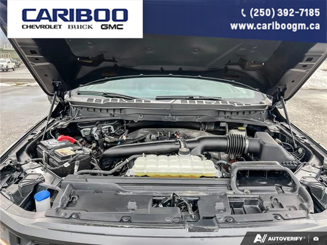 2024 Ford F-150 Tremor (Stk: 25T026A) in Quesnel - Image 10 of 25