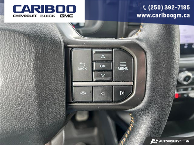 2024 Ford F-150 Tremor (Stk: 25T026A) in Quesnel - Image 16 of 25