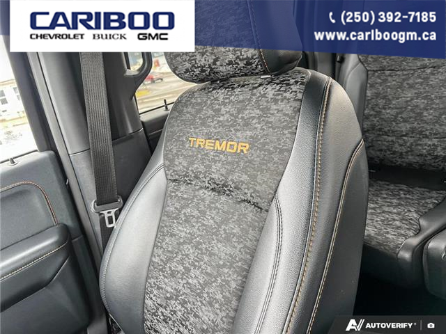 2024 Ford F-150 Tremor (Stk: 25T026A) in Quesnel - Image 20 of 25