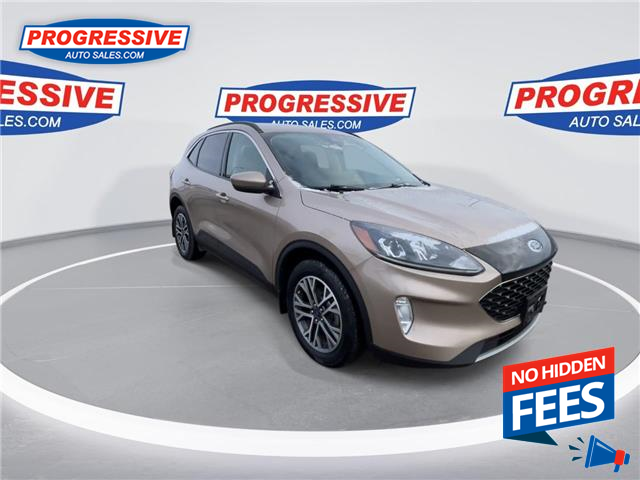 2020 Ford Escape SEL (Stk: LUC45823) in Sarnia - Image 3 of 25