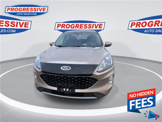 2020 Ford Escape SEL (Stk: LUC45823) in Sarnia - Image 4 of 25