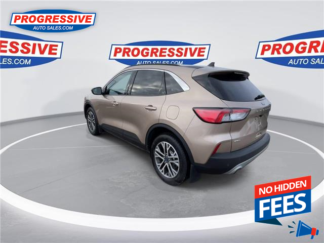 2020 Ford Escape SEL (Stk: LUC45823) in Sarnia - Image 7 of 25