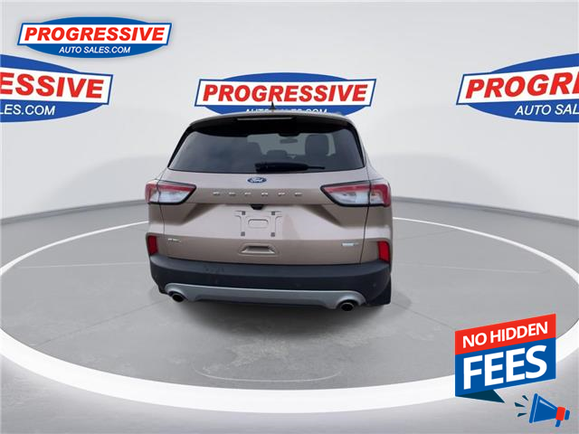 2020 Ford Escape SEL (Stk: LUC45823) in Sarnia - Image 8 of 25