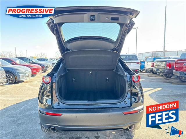 2025 Mazda CX-30 GT w/Turbo (Stk: SM869221) in Sarnia - Image 25 of 26