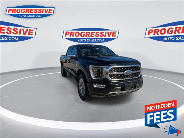 2022 Ford F-150 Platinum (Stk: NFA37404) in Sarnia - Image 3 of 26