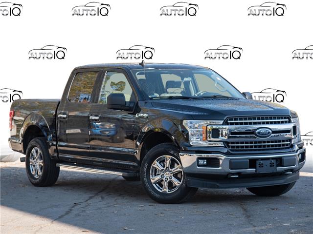 2019 Ford F-150 XLT (Stk: 40-228) in St. Catharines - Image 1 of 24
