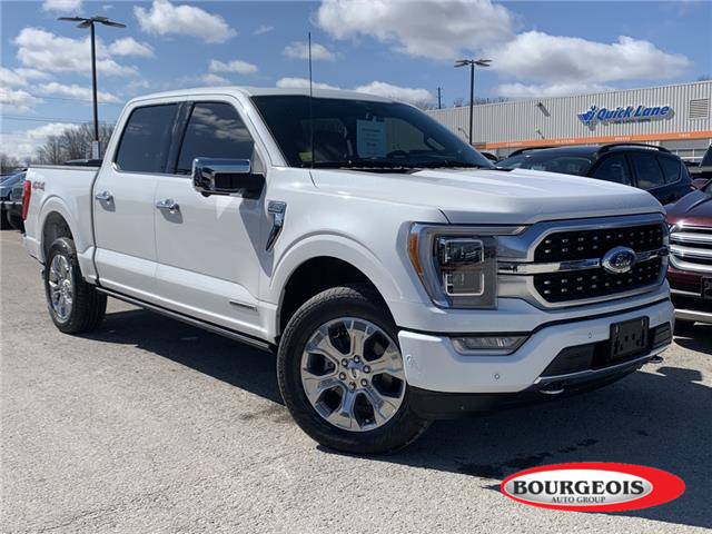 2021 Ford F-150 Platinum (Stk: 22T176A) in Midland - Image 1 of 29
