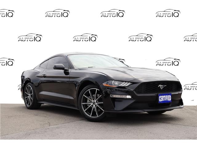 2019 Ford Mustang EcoBoost Premium (Stk: A220482) in Hamilton - Image 1 of 21