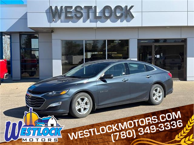2019 Chevrolet Malibu 1LS (Stk: T2518) in Westlock - Image 1 of 18