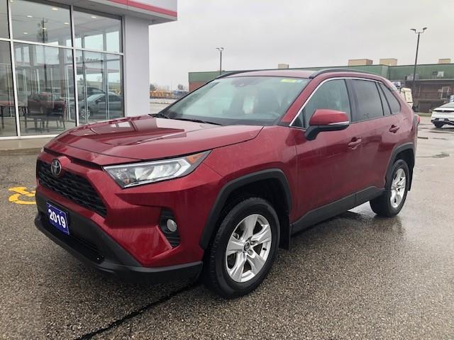 2019 Toyota RAV4 XLE (Stk: CP11544) in Chatham - Image 1 of 8