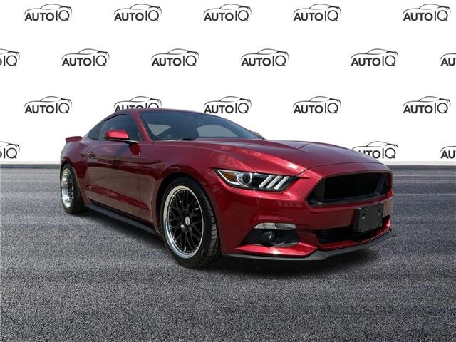 2015 Ford Mustang V6 (Stk: 101570A) in St. Thomas - Image 1 of 19