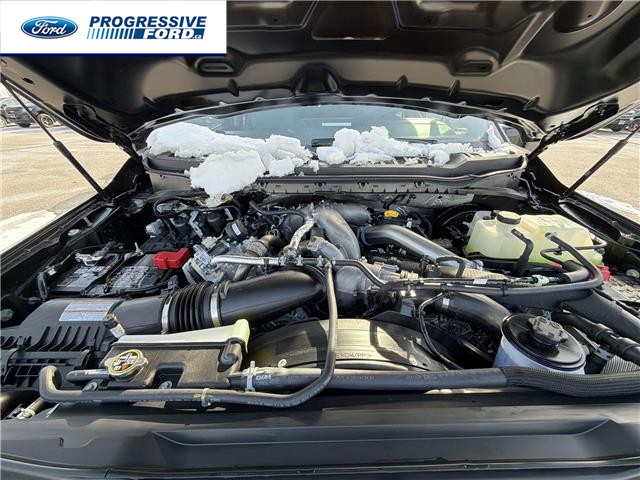 2026 Ford F-250 XLT (Stk: TED02530) in Wallaceburg - Image 25 of 25