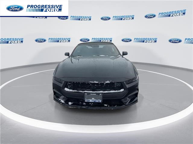 2026 Ford Mustang EcoBoost (Stk: T5111677) in Wallaceburg - Image 3 of 24