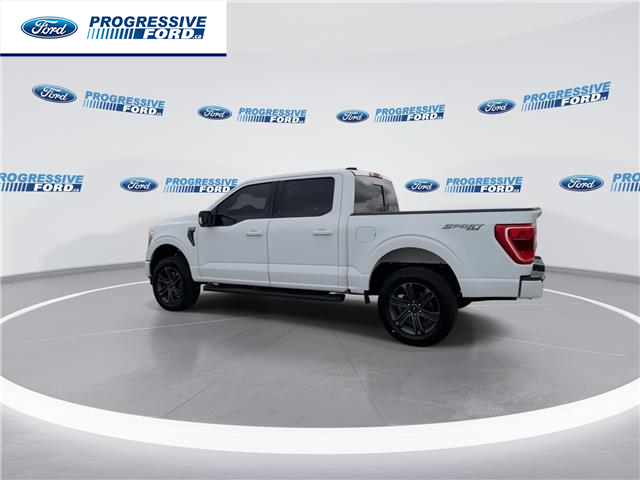 2023 Ford F-150 XLT (Stk: PKF65327T) in Wallaceburg - Image 6 of 26